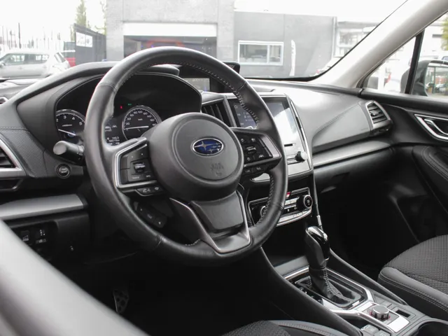 Subaru Forester 2.0i e-BOXER Luxury | Navi | Camera | Trekhaak