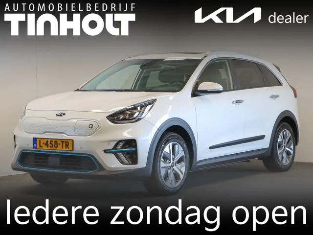 Kia e-Niro DynamicPlusLine 64 kWh