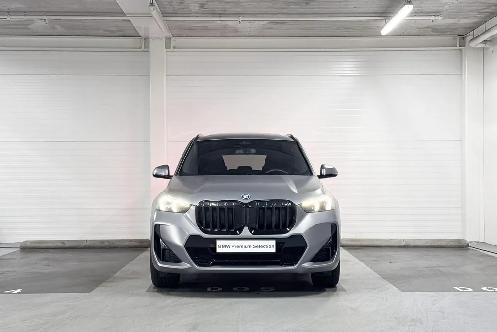 BMW X1 xDrive25e