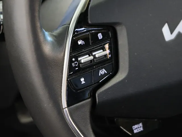 Kia Niro EV DynamicPlusLine 64.8 kWh
