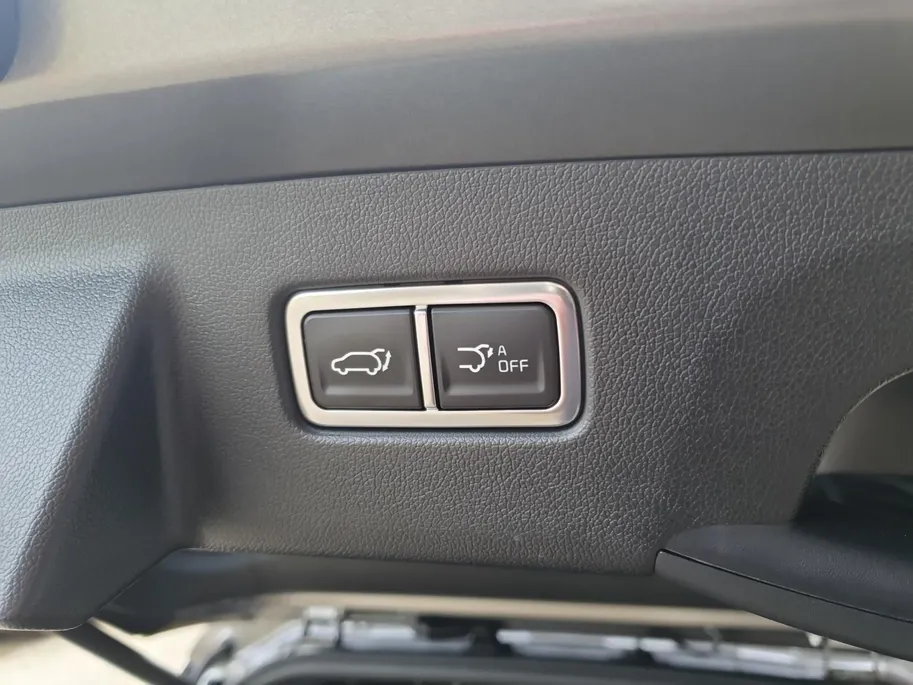 Kia Sorento 1.6 T-GDi Plug-in Hybrid 4WD ExecutiveLine 7p | Black Pack | Stoel verwarming en ventilatie | Panorama schuifdak | Sidebars | Lichtmetalen velgen 21inch | Lederen bekleding | Elektrisch bedienbare voorstoelen |