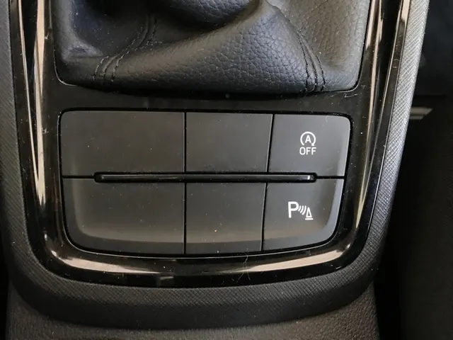 Skoda Kamiq 1.0 TSI DSG Business
