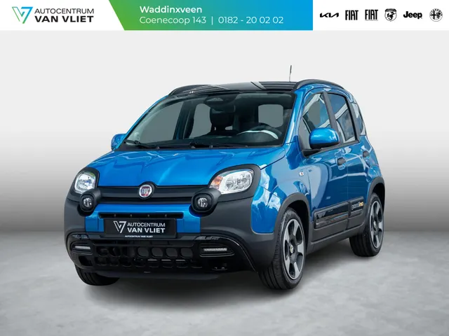 Fiat Pandina