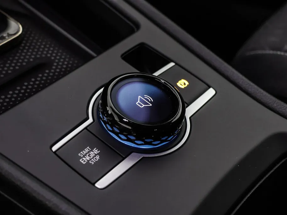 Volkswagen T-Roc Life First Edition 1.5 eTSI 116 PK 7 versn. DSG · Comfort pakket · Achteruitrijcamera ·