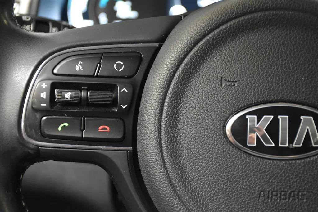 Kia Niro 1.6 GDi Hybrid 141pk DCT6 First Edition Navi | Camera | PDC | Cruise | Trekhaak | LMV