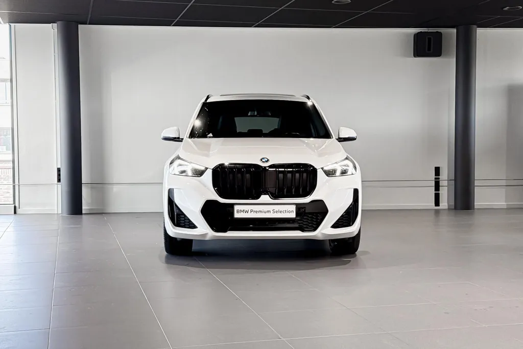 BMW X1 xDrive30e