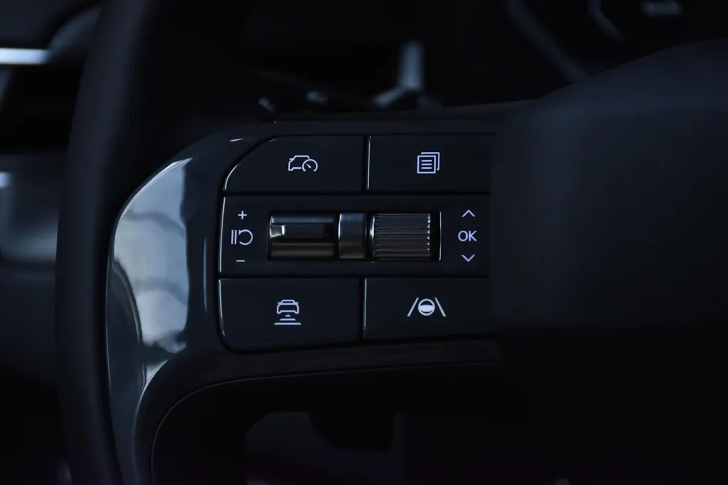 Kia EV9 99,8kWh 204pk RWD Plus NIEUW - SNEL LEVERBAAR