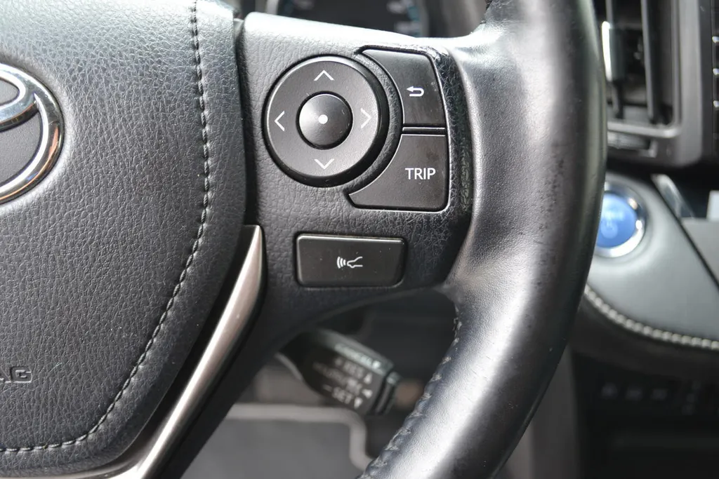 Toyota RAV4 2.5 HYBRID AWD EXECUTIVE|LUXE|TREKHAAK
