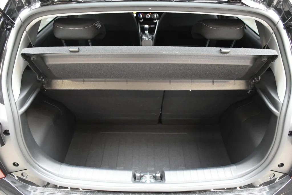 Kia Picanto 1.0 GDI 4-zits DynamicPlusLine NIEUW