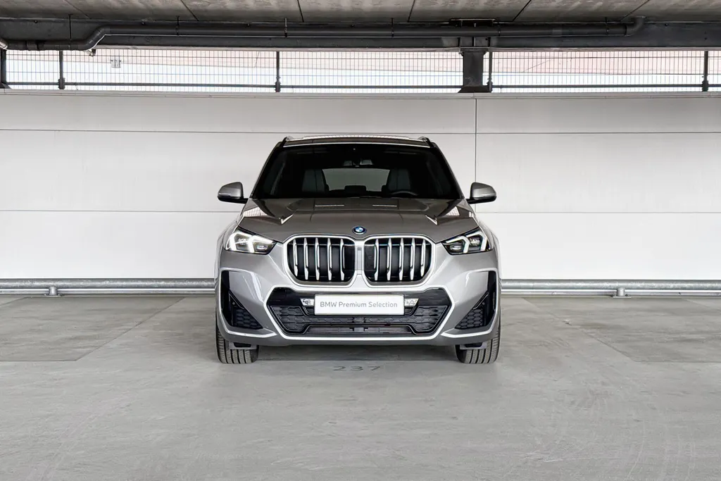 BMW X1 xDrive25e