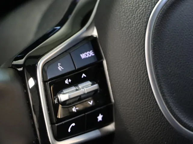 Kia Sorento 1.6 T-GDi Plug-in Hybrid 4WD ExecutiveLine 7p Trekhaak