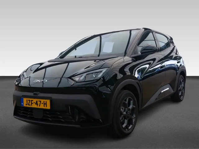 BYD DOLPHIN SURF