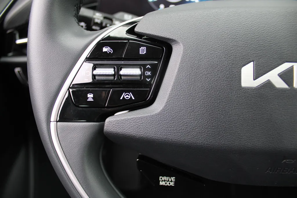 Kia Niro EV DynamicLine 64.8 kWh | Navi | Airco | Cruise | Camera | 17' LM |