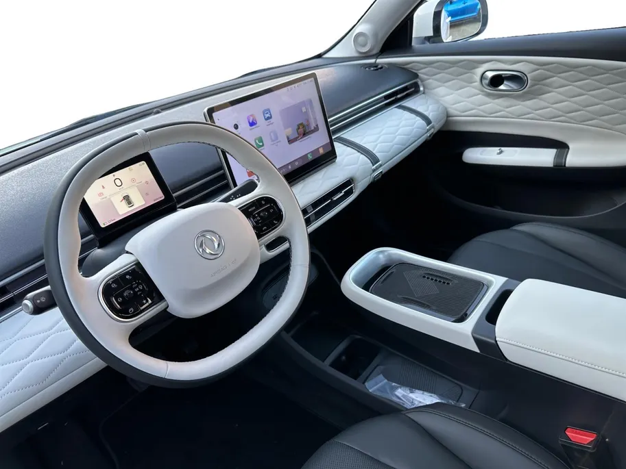 Dongfeng Box Premium Edition 42 kWh UIT VOORRAAD |  DIRECT RIJDEN, RIJKLAAR! Snoepje van de maand!