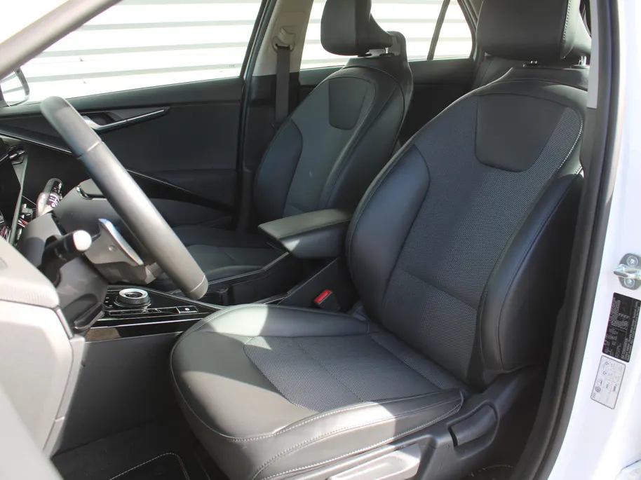 Kia Niro EV DynamicLine 64.8 kWh | Clima | Camera | Cruise adapt. | Carplay | Navi | 17' LM |