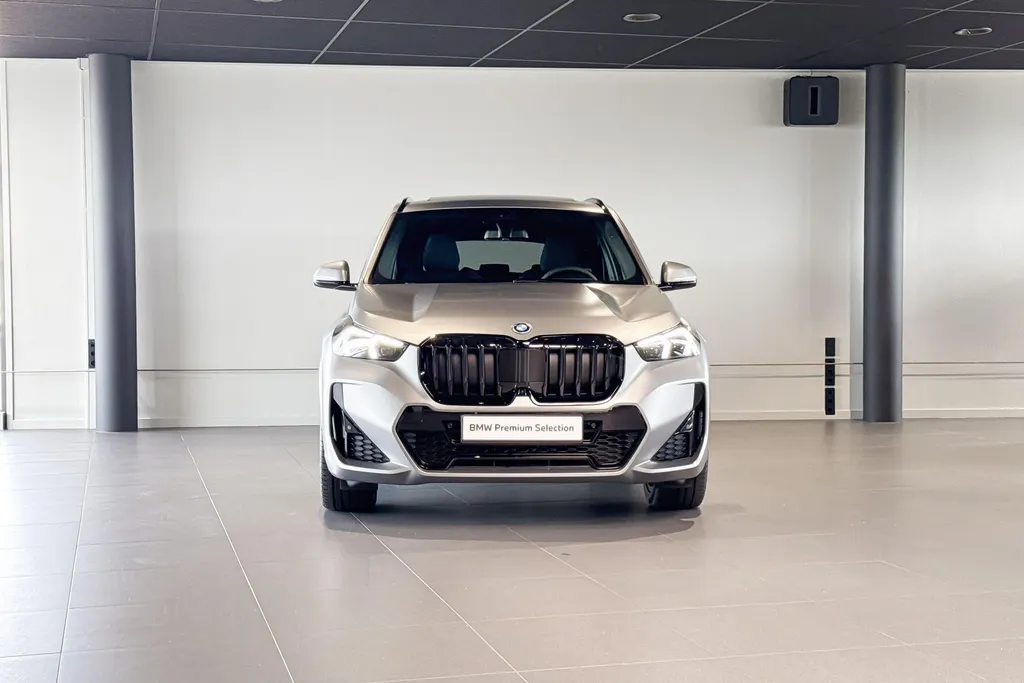 BMW X1 xDrive25e