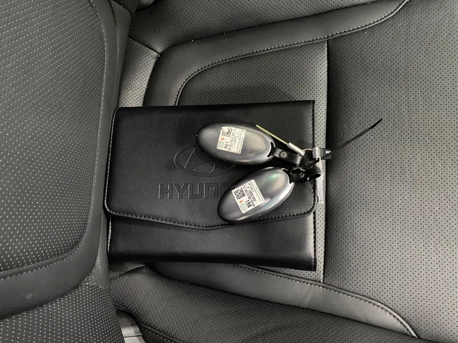 Hyundai Tucson 1.6 PHEV | PREMIUM SKY | PANORAMADAK | NL-AUTO |