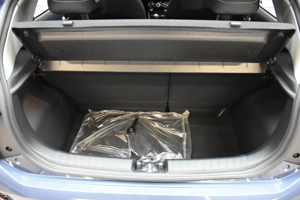 Kia Picanto 1.0 GDI 4-zits DynamicLine NIEUW - SNEL LEVERBAAR