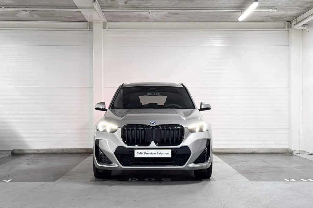 BMW X1 xDrive25e