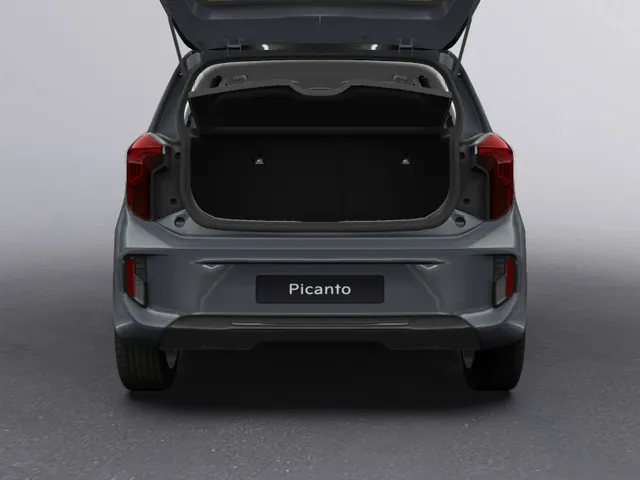 Kia Picanto 1.0 DPI DynamicLine