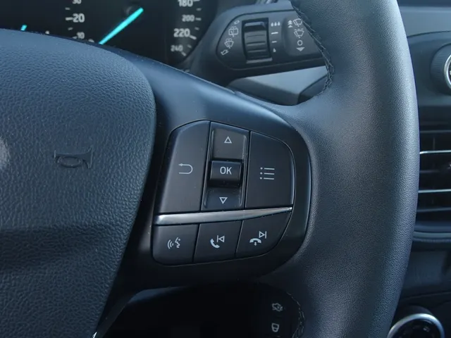 Ford Focus 1.0 EcoBoost Hybrid Connected | Automaat