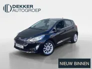 Ford Fiesta 1.0 EcoBoost 95 pk Titanium 5-deurs Winter Pack - Driver Assistance Pack