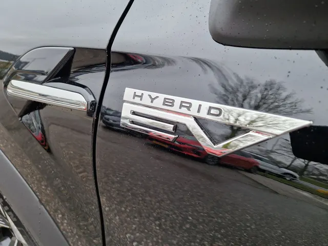 Mitsubishi Grandis 1.8i HEV First Edition