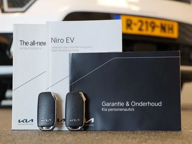 Kia Niro EV DynamicLine 64.8 kWh