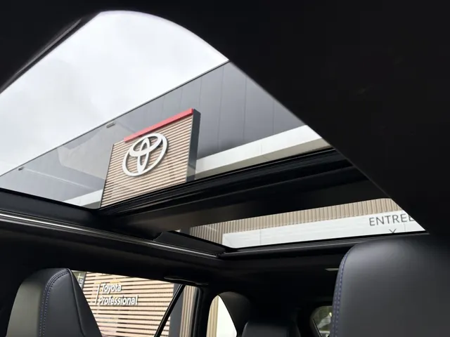 Toyota RAV4 2.5 Hybrid AWD Bi-Tone | Panaoramadak