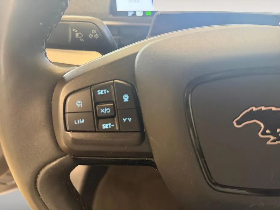 Ford Mustang Mach-E EXTENDED | RWD | 98 KWH | TECH PACK PLUS | TREKHAAK |