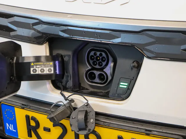 Kia Niro EV DynamicLine 64.8 kWh