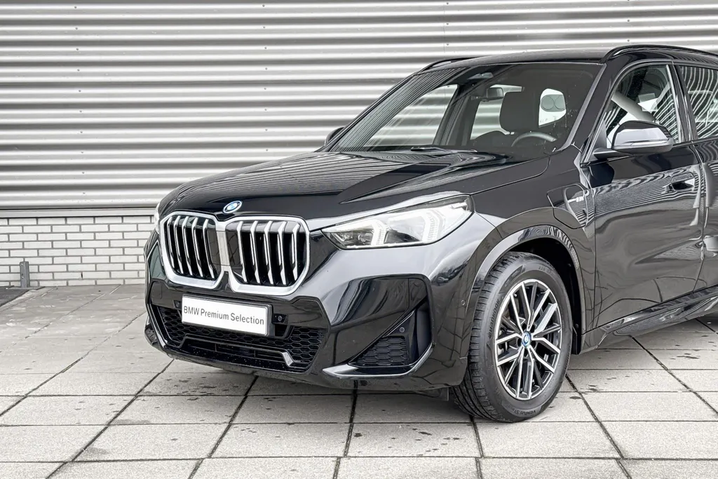 BMW X1 xDrive25e
