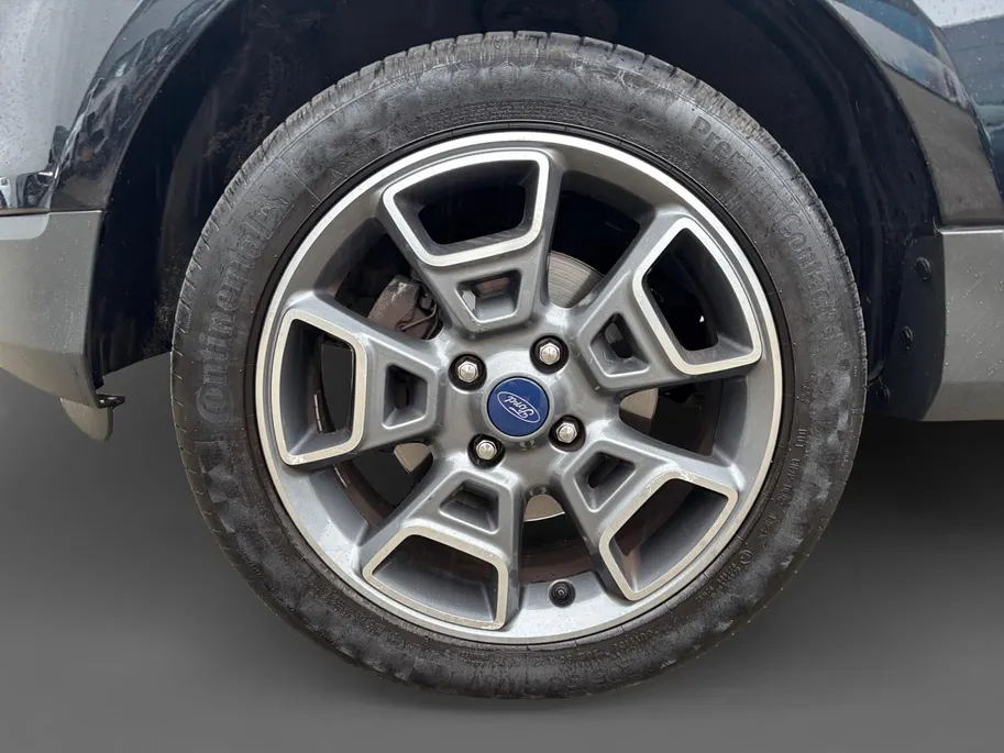 Ford EcoSport 1.5 Ti-VCT Titanium | Dealeronderhouden! | Trekhaak | Cruise Control | Stoel-en voorruitverwarming | Parkeersensoren achter |