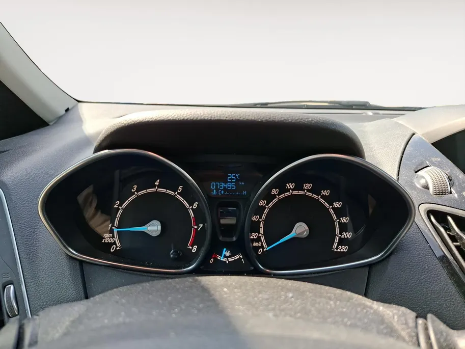 Ford B-MAX 1.0 EcoBoost Titanium | Dealeronderhouden | Cruise control | Lichtmetalen velgen | Navigatie | Camera