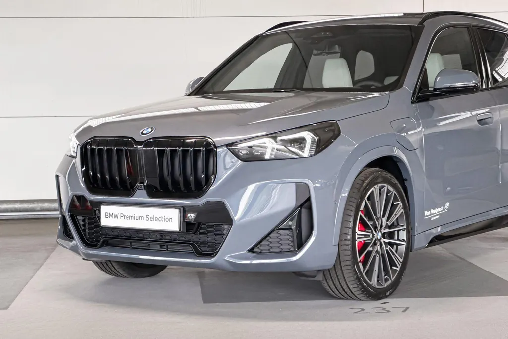 BMW X1 xDrive25e