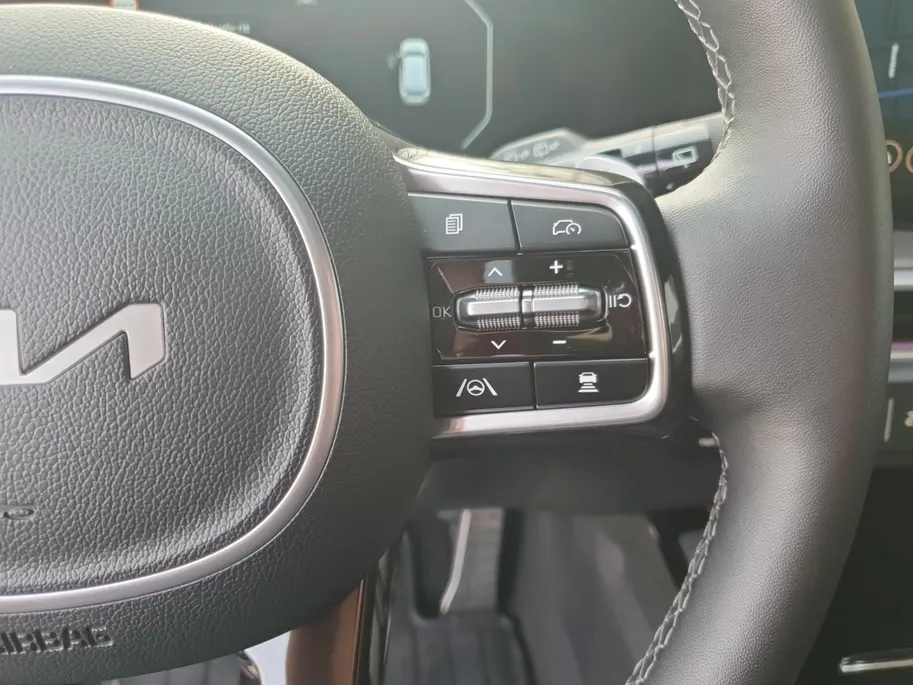Kia Sorento 1.6 T-GDi Plug-in Hybrid 4WD ExecutiveLine 7p | Black Pack | Stoel verwarming en ventilatie | Panorama schuifdak | Sidebars | Lichtmetalen velgen 21inch | Lederen bekleding | Elektrisch bedienbare voorstoelen |