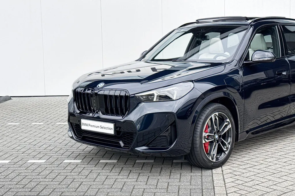BMW X1 xDrive25e