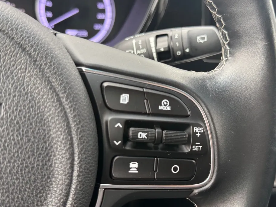 Kia Niro 1.6 GDi HEV Dynamic PlusLine | PDC v+a | Apple/Android | Camera