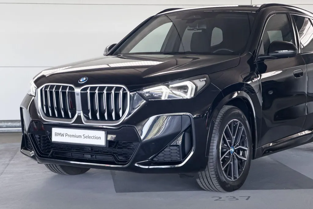 BMW X1 xDrive25e