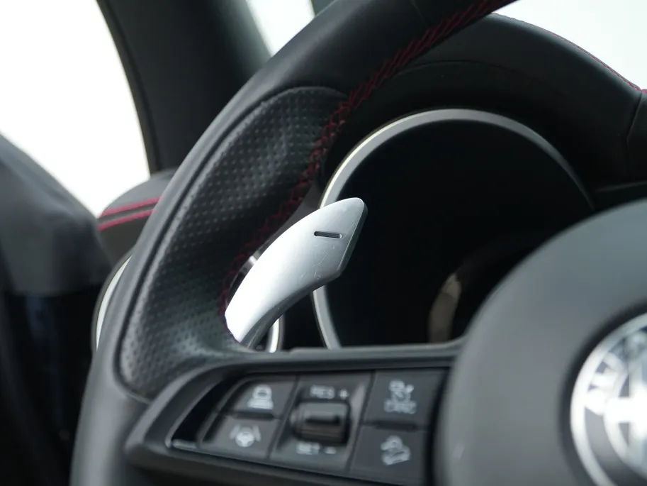 Alfa Romeo Stelvio 2.0 Turbo 280 PK AWD Competizione | Veloce | Pano | Harman | 21'