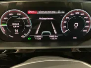 Audi e-tron 55 quattro S Line 300kW/408PK 95 kWh · Panoramadak · Camera + Parkeersensoren · Drive select