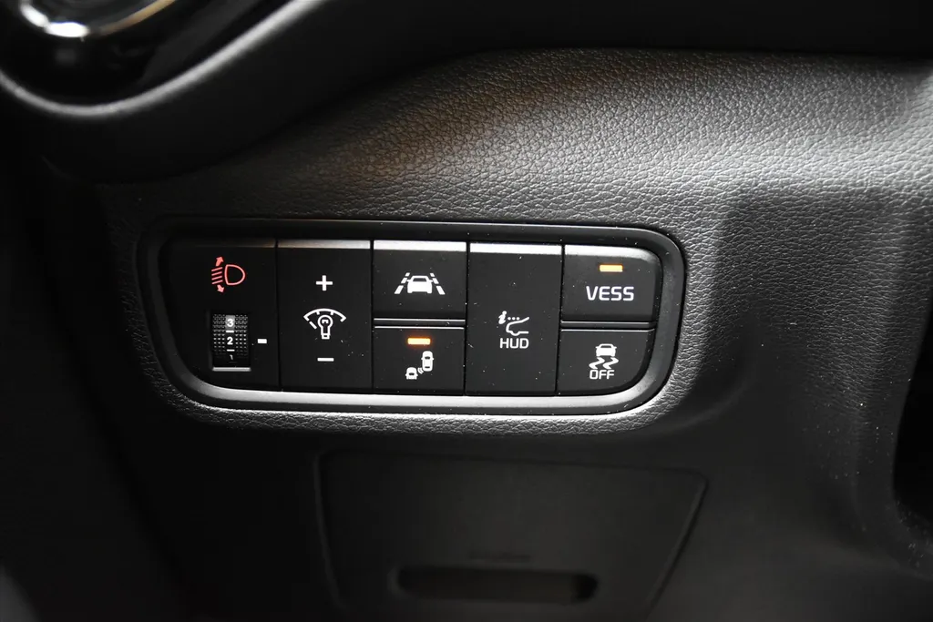 Kia e-Soul 64kWh ExecutiveLine I SOH 100% I TREKHAAK