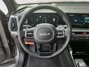 Kia Sorento 1.6 T-GDi Plug-in Hybrid 4WD ExecutiveLine 7p | Black Pack | Stoel verwarming en ventilatie | Panorama schuifdak | Sidebars | Lichtmetalen velgen 21inch | Lederen bekleding | Elektrisch bedienbare voorstoelen |