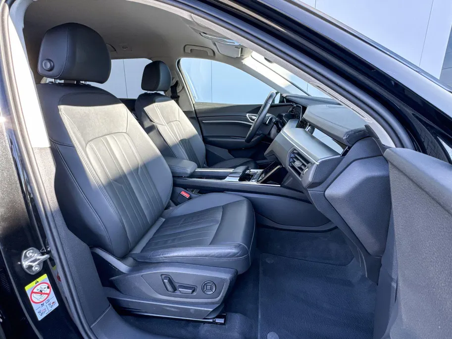 Audi E-tron E-tron 55 quattro advanced Pro Line Plus 95 kWh