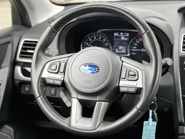 Subaru Forester 2.0 Luxury Plus Eyesight Automaat | Trekhaak | 17' LM Velgen | Climate Control | Elek. Schuif/Kantel Dak
