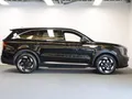 Kia Sorento 1.6 T-GDi Plug-in Hybrid 4WD ExecutiveLine 7p Trekhaak