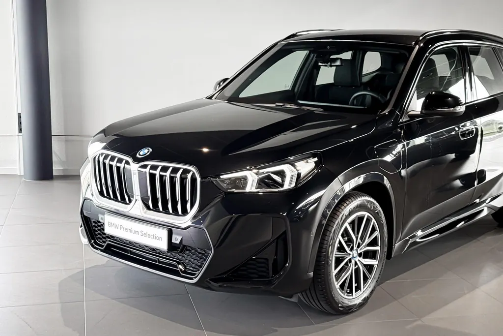 BMW X1 xDrive25e