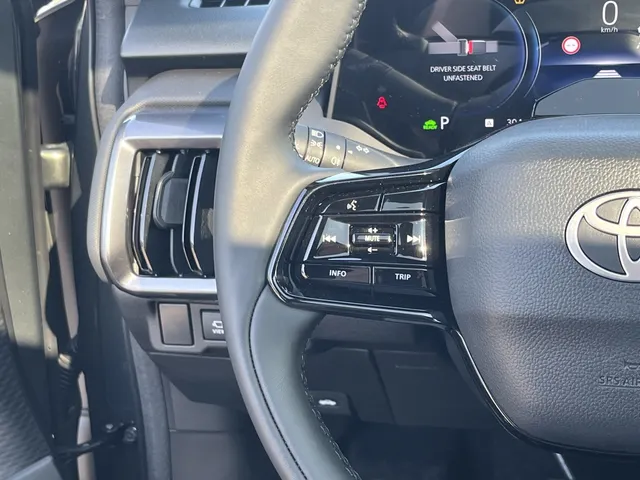 Toyota Urban Cruiser Executive 61 kWh