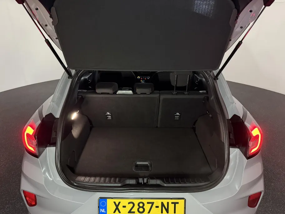 Ford Puma 1.0 EcoBoost Hybrid ST-Line | Stoelverwarming | Camera | BLISS |