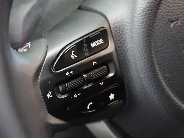 Kia Picanto 1.0 DPI ExecutiveLine 4 Seizoensbanden